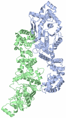 Image Biological Unit 1