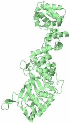 Image Biological Unit 3