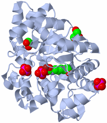 Image Biological Unit 1