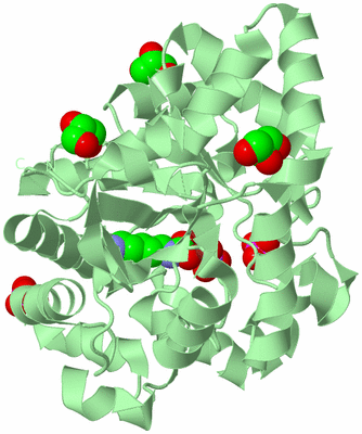 Image Biological Unit 2