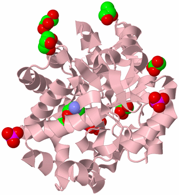 Image Biological Unit 3