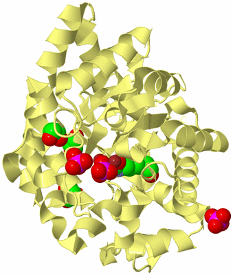 Image Biological Unit 4