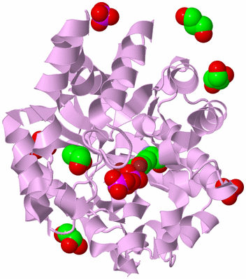 Image Biological Unit 5