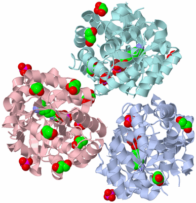 Image Biological Unit 7