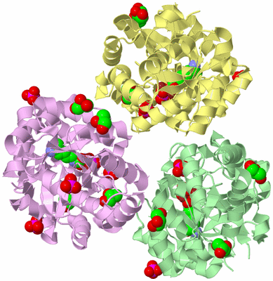 Image Biological Unit 8