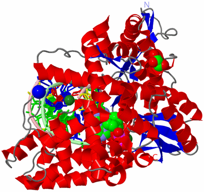 Image Asym./Biol. Unit