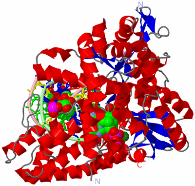 Image Asym./Biol. Unit