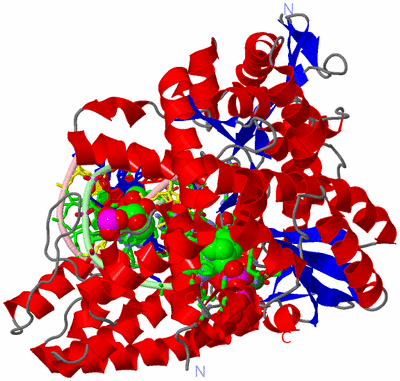 Image Asym./Biol. Unit - sites