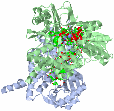 Image Asym./Biol. Unit - sites