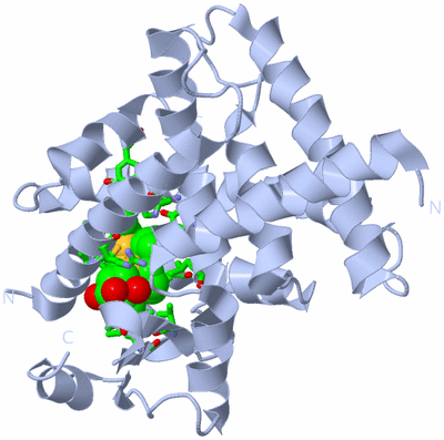 Image Biol. Unit 1 - sites