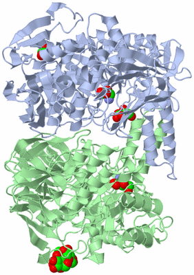 Image Asym./Biol. Unit