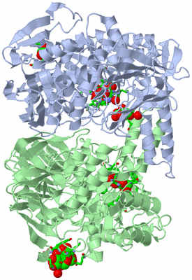 Image Asym./Biol. Unit - sites