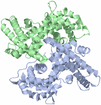 Image Asymmetric Unit