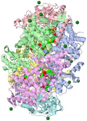 Image Asym./Biol. Unit