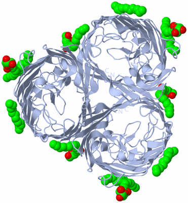 Image Biological Unit 1