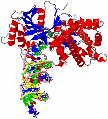 Image Asym./Biol. Unit