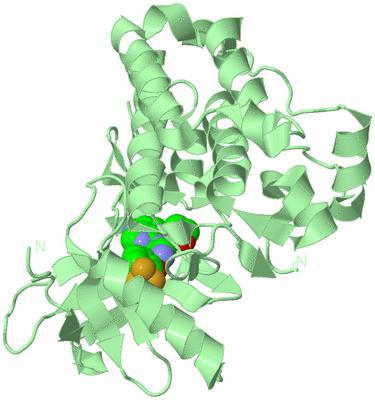 Image Biological Unit 2