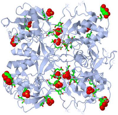 Image Biol. Unit 1 - sites