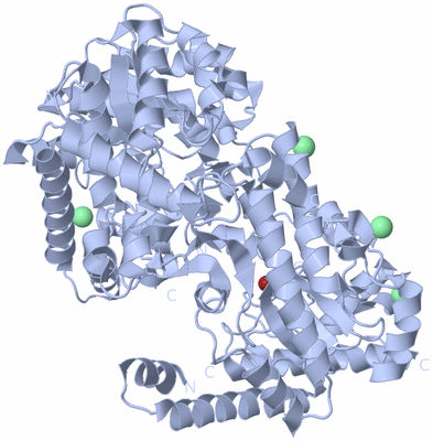 Image Biological Unit 1