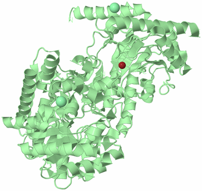 Image Biological Unit 2