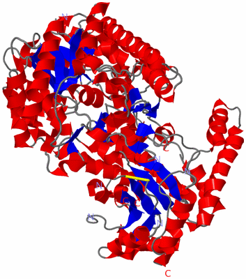 Image Asym./Biol. Unit