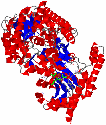 Image Asym./Biol. Unit - sites