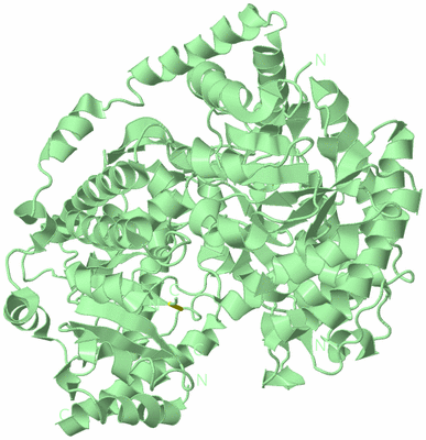 Image Biological Unit 2