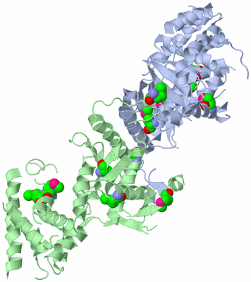 Image Asym./Biol. Unit