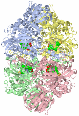 Image Asym./Biol. Unit