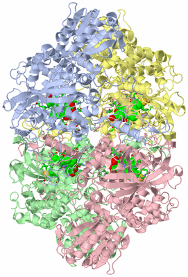 Image Asym./Biol. Unit - sites