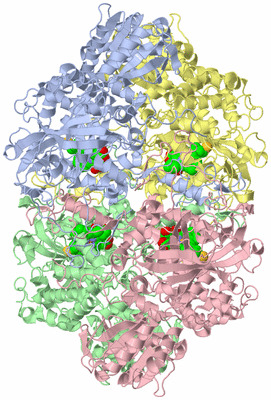 Image Asym./Biol. Unit