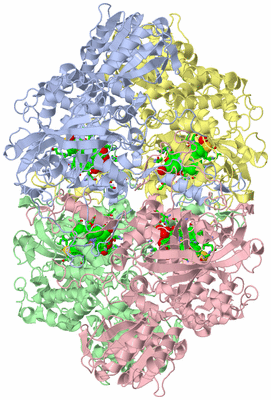 Image Asym./Biol. Unit - sites