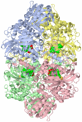 Image Asym./Biol. Unit