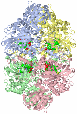 Image Asym./Biol. Unit - sites