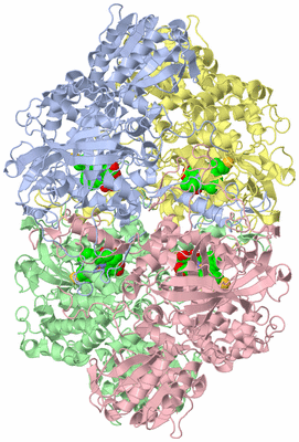 Image Asym./Biol. Unit