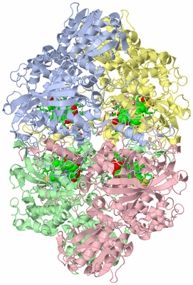 Image Asym./Biol. Unit - sites