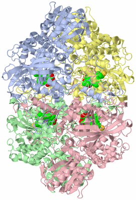 Image Asym./Biol. Unit