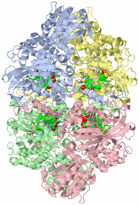 Image Asym./Biol. Unit - sites