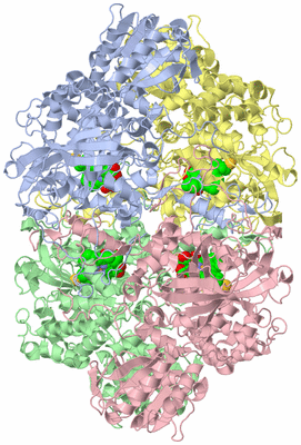 Image Asym./Biol. Unit