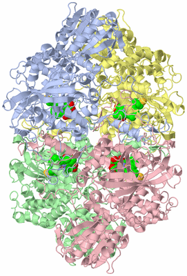 Image Asym./Biol. Unit