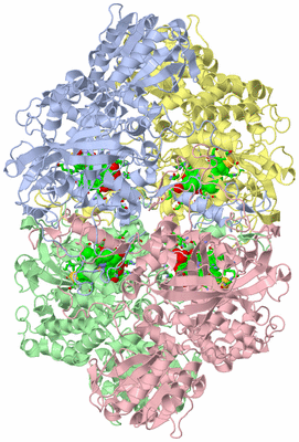 Image Asym./Biol. Unit - sites