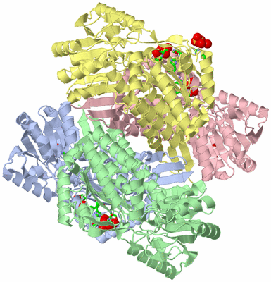 Image Asym./Biol. Unit - sites