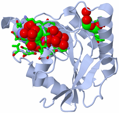Image Biol. Unit 1 - sites