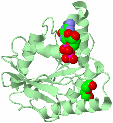 Image Biological Unit 2