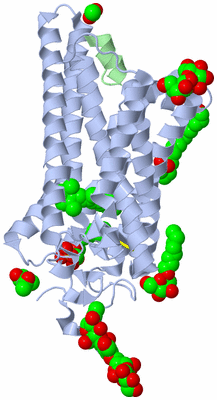 Image Biological Unit 1