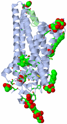 Image Biol. Unit 1 - sites