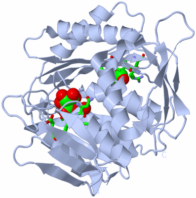 Image Biol. Unit 1 - sites