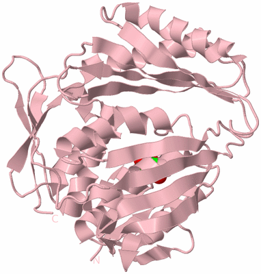 Image Biological Unit 3