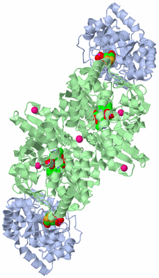 Image Biological Unit 1