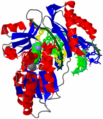 Image Asym./Biol. Unit